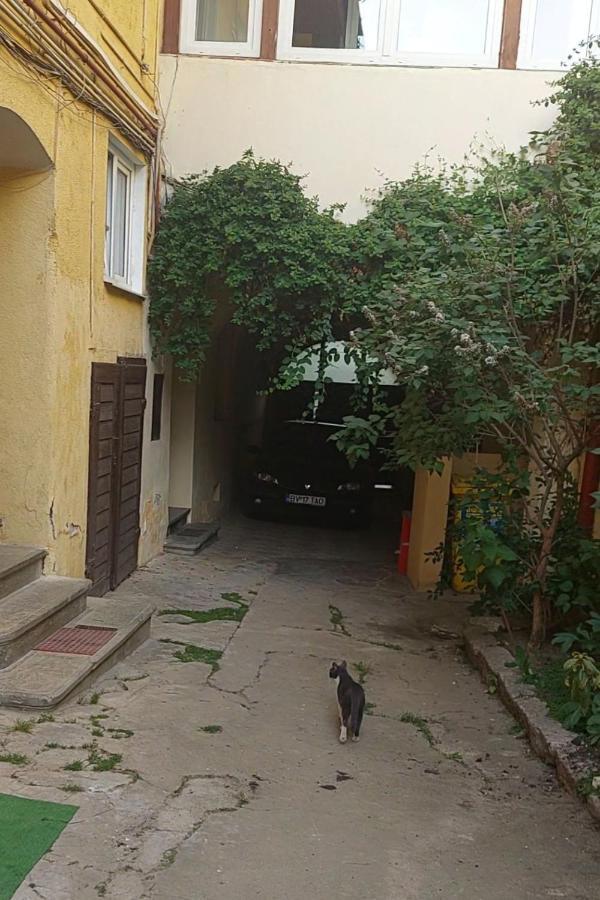 Apartament Diaconu Coresi Lägenhet Braşov Exteriör bild